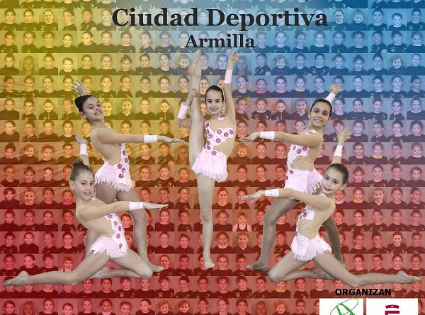 VI DIPUTACIONpq