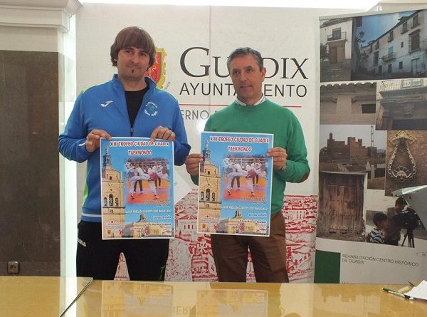 Guadix taewondo