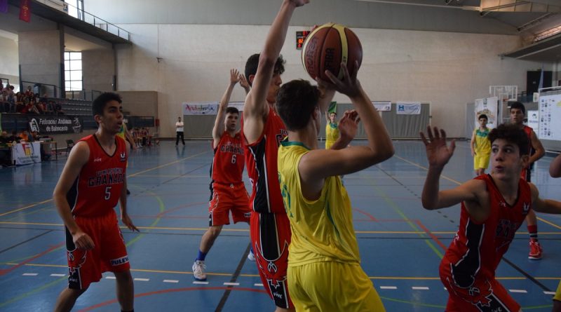 CFRI A SEMIS