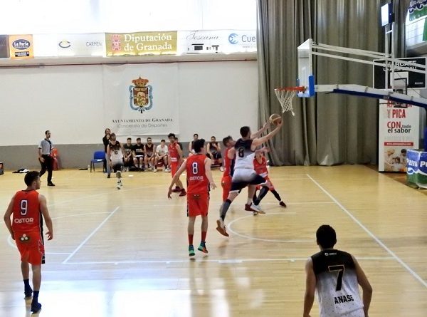 Manzano vs armilla