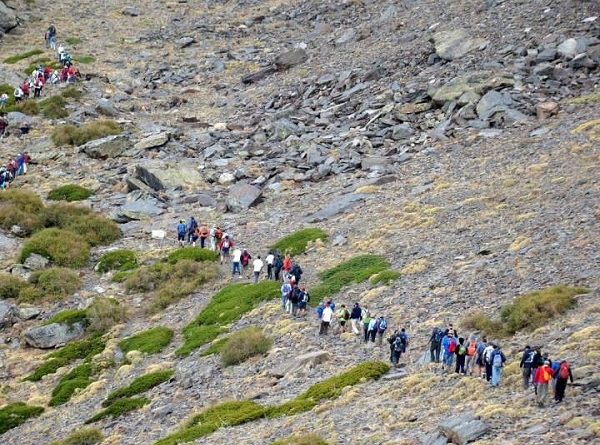 RUTA JEREZ SOLIDARIA