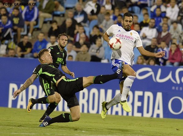 Copa foto