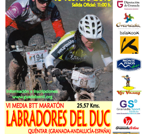 Labradores18