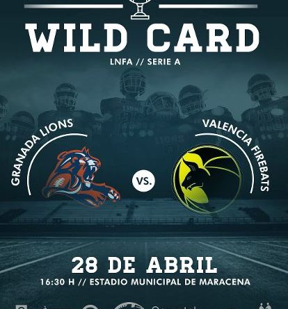 LIONS VS FIREBATS PLAYOFF