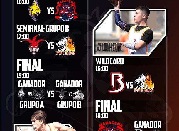 Cartel Playoff Flag