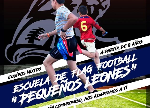 LIONS PEQUEÑOS LEONES