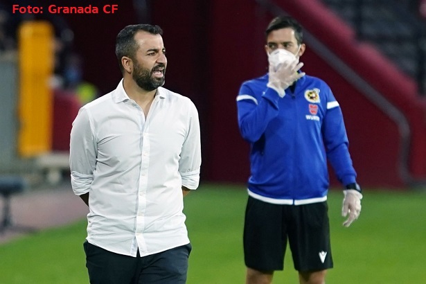 DM ANTE ALAVES