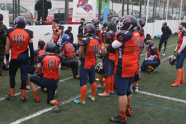 LIONS PREVIA