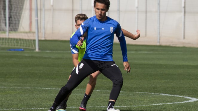 LUIS MILLA